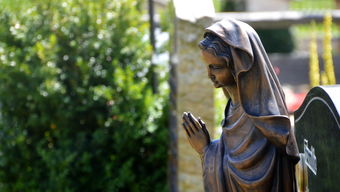 九游娱乐下载-女子200蝶划水幅度：中国略占上风，女子200米蝶泳决赛视频保存到相册里  第3张